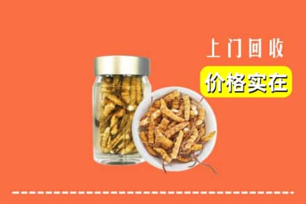 许昌市襄城回收散虫草