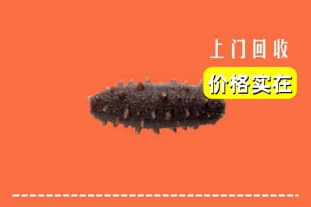 许昌市襄城回收海参